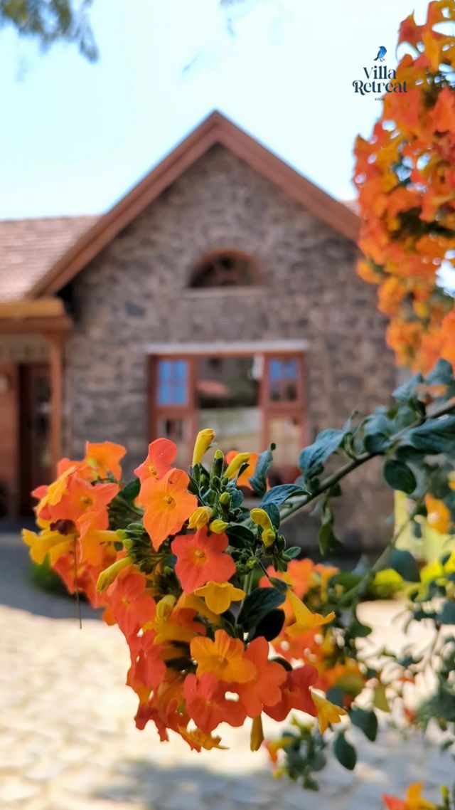 Escape to the serene beauty of Villa Retreat in Kodaikanal. Nestled amidst lush greenery, enjoy a peaceful retreat with stunning views, cozy accommodations, and warm hospitality. Experience tranquility like never before. 
.
.
.
For any further assistance, please contact at +91 9244243940, email us at info@villaretreat.com or visit: www.villaretreat.com
.
.
.
.
#Villaretreat #NatureEscape
#GreeneryGetaway
#ModernLuxury
#HeartofKodaikanal #EscapeToNature #PeacefulParadise #DiscoverKodaikanal #RelaxationDestination